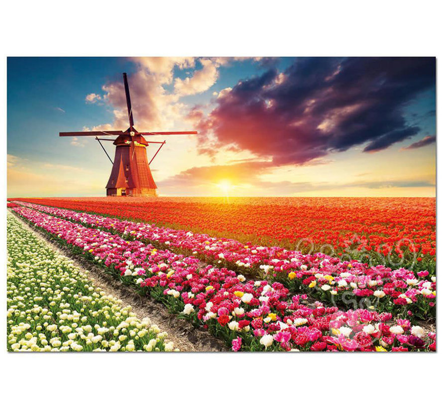 Educa Tulips Landscape Puzzle 1500pcs