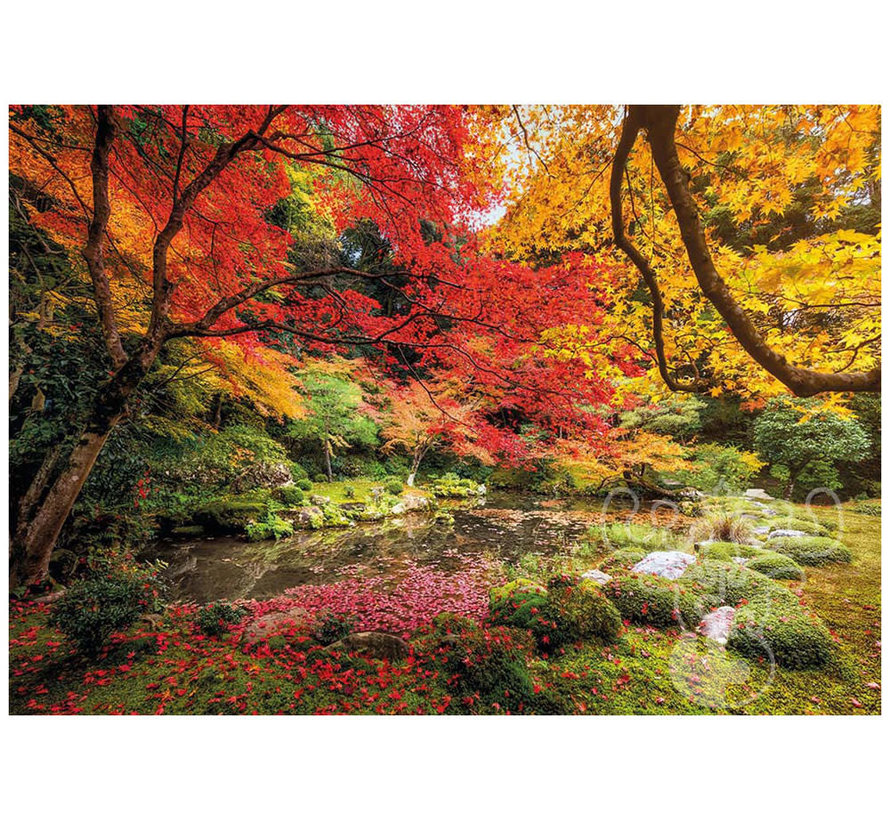 Clementoni Autumn Park Puzzle 1500pcs - ORIGINAL BOX SIZE
