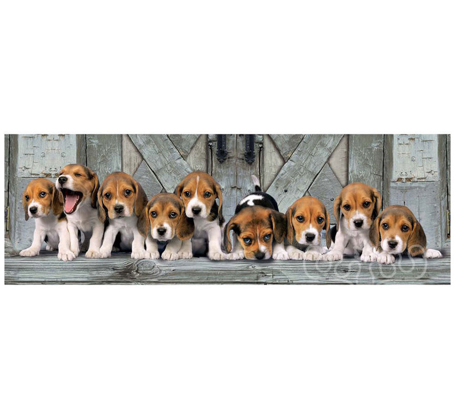 Clementoni Beagles Panorama Puzzle 1000pcs