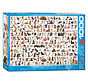 Eurographics Chart: The World of Dogs Puzzle 1000pcs