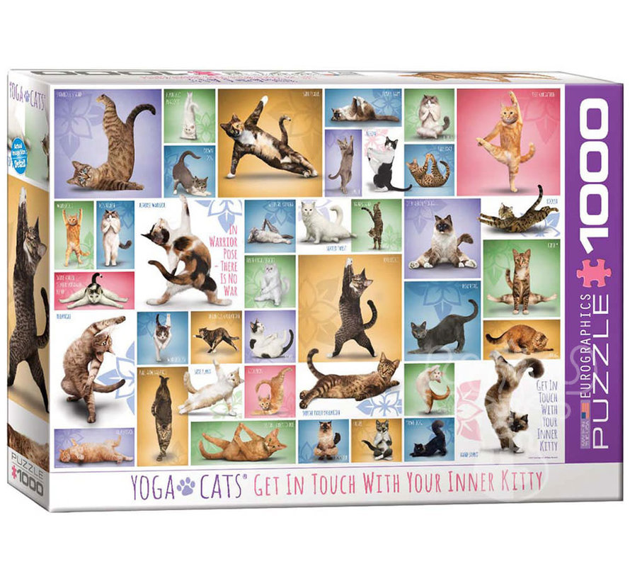 Eurographics Chart: Yoga Cats Puzzle 1000pcs