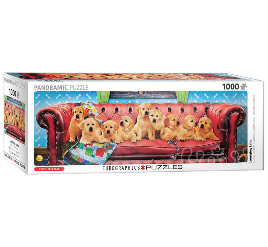 Eurographics Panoramic: Lounging Labs Panoramic Puzzle 1000pcs