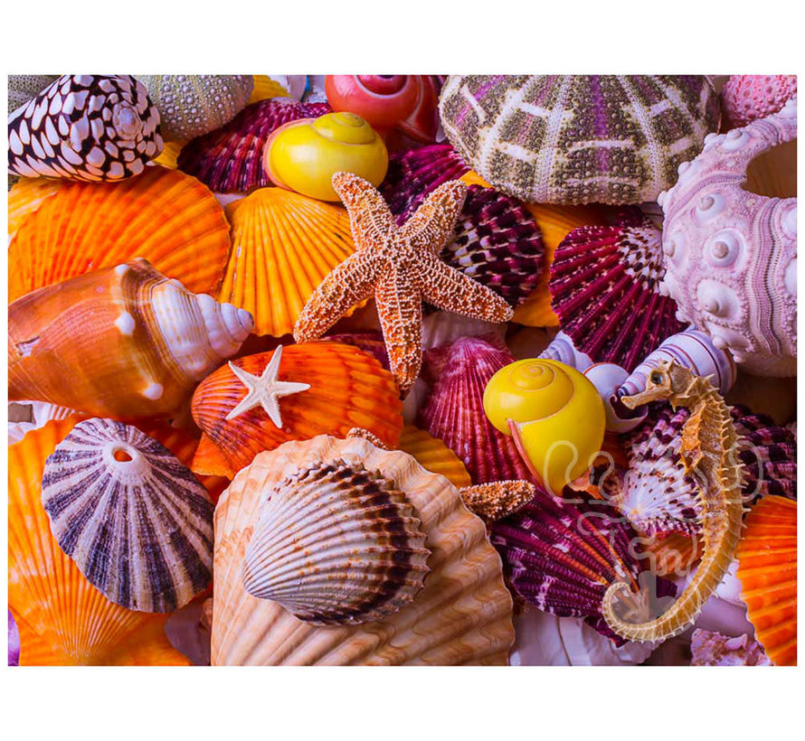 FINAL SALE Vermont Christmas Co. Sea Shell Treasures Puzzle 550pcs