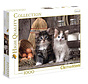 Clementoni Lovely Kittens Puzzle 1000pcs