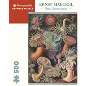 Pomegranate Pomegranate Haeckel, Ernst: Sea Anemones Puzzle 500pcs