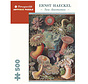 Pomegranate Haeckel, Ernst: Sea Anemones Puzzle 500pcs
