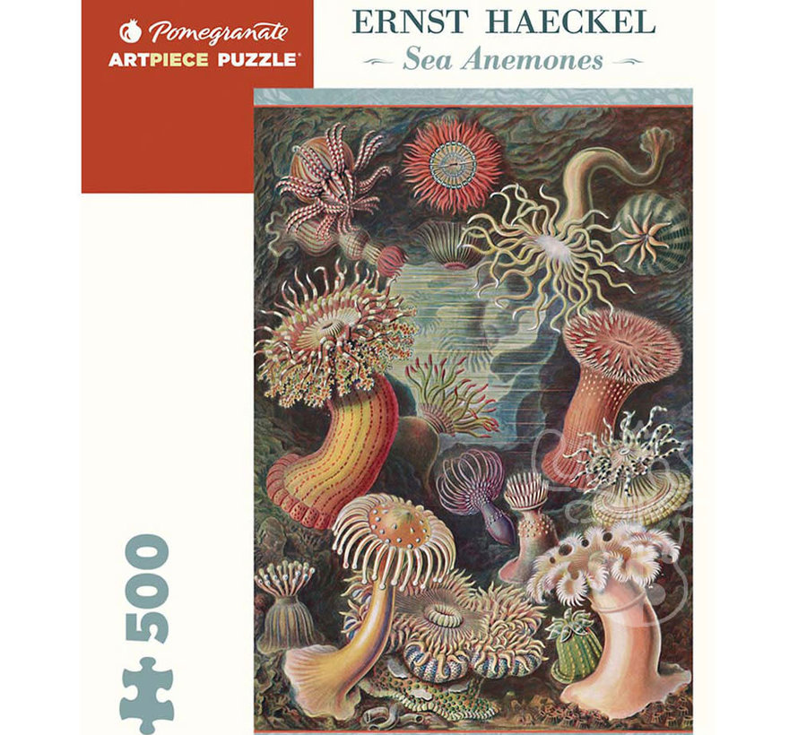 Pomegranate Haeckel, Ernst: Sea Anemones Puzzle 500pcs