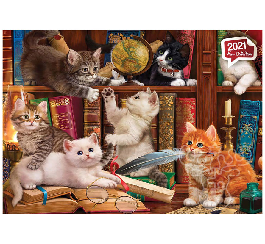 Anatolian Kittens in the Library Puzzle 500pcs
