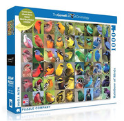 New York Puzzle Company New York Puzzle Co. Cornell Lab: Rainbow of Birds Puzzle 1000pcs