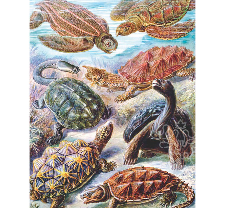 FINAL SALE New York Puzzle Co. Vintage Collection: Turtles Puzzle 1000pcs