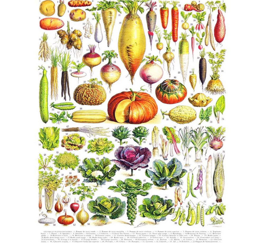 New York Puzzle Co. Vintage Collection: Vegetables ~ Légumes Puzzle 1000pcs