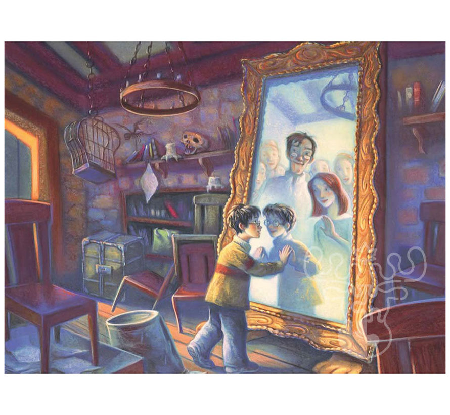 New York Puzzle Co. Harry Potter: Mirror of Erised Puzzle 1000pcs