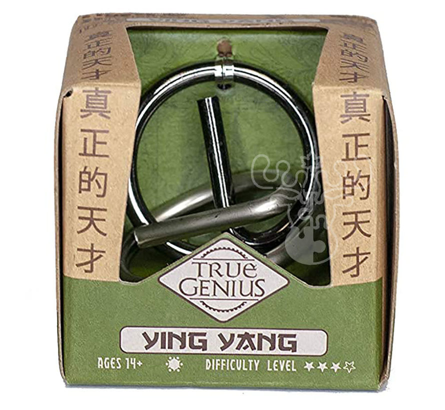 Ying Yang Brain Teaser