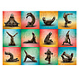 Willow Creek Sloth Yoga Puzzle 1000pcs