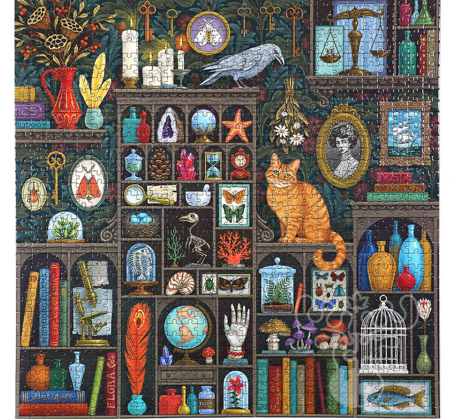 eeBoo Alchemist's Cabinet Puzzle 1000pcs