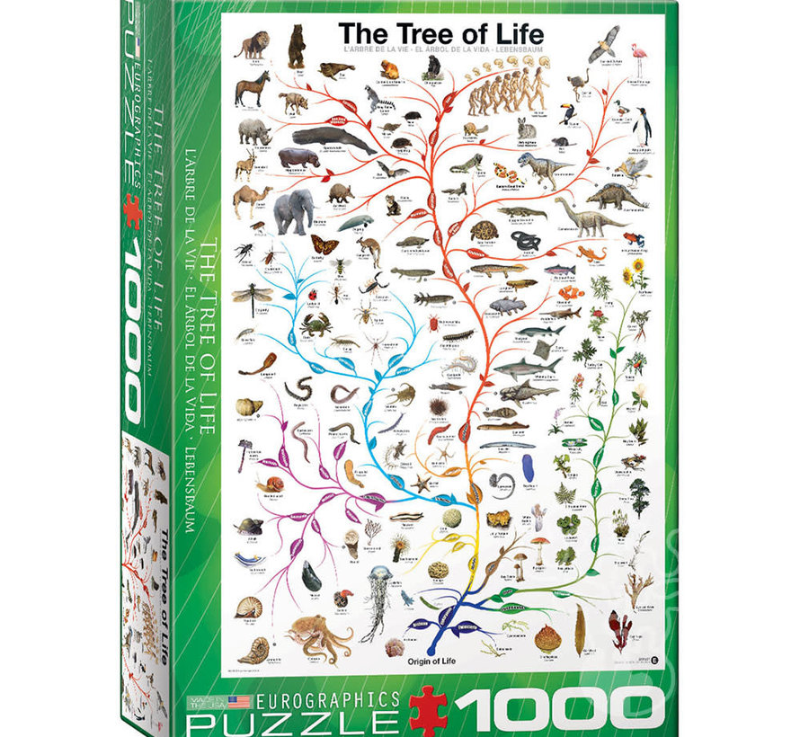 Eurographics Education: Tree of Life Puzzle 1000pcs