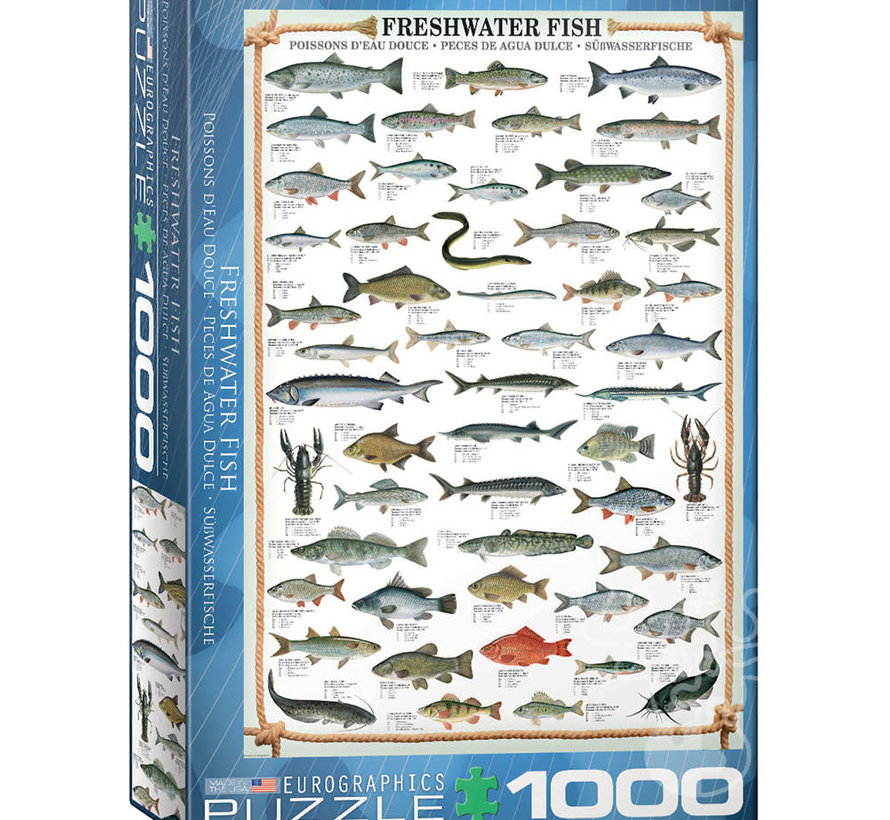Eurographics Chart: Freshwater Fish Puzzle 1000pcs