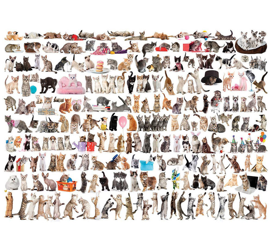 Eurographics Chart: The World of Cats Puzzle 1000pcs