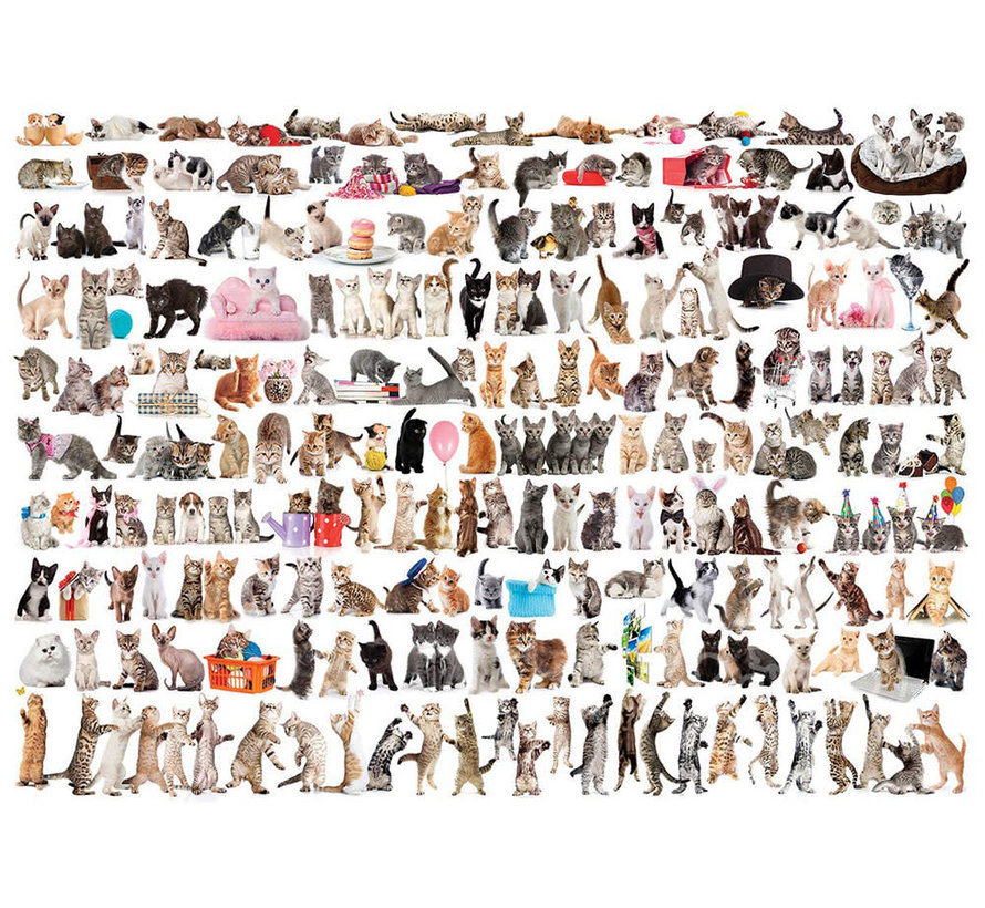 Eurographics The World of Cats Puzzle 1000pcs