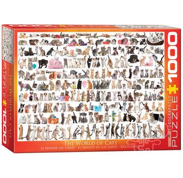 Eurographics Eurographics Chart: The World of Cats Puzzle 1000pcs