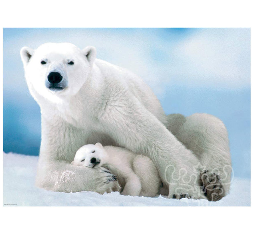 Eurographics Polar Bear & Baby Puzzle 1000pcs