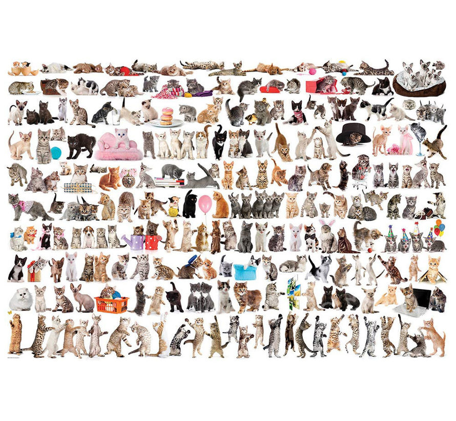 Eurographics The World of Cats Puzzle 2000pcs