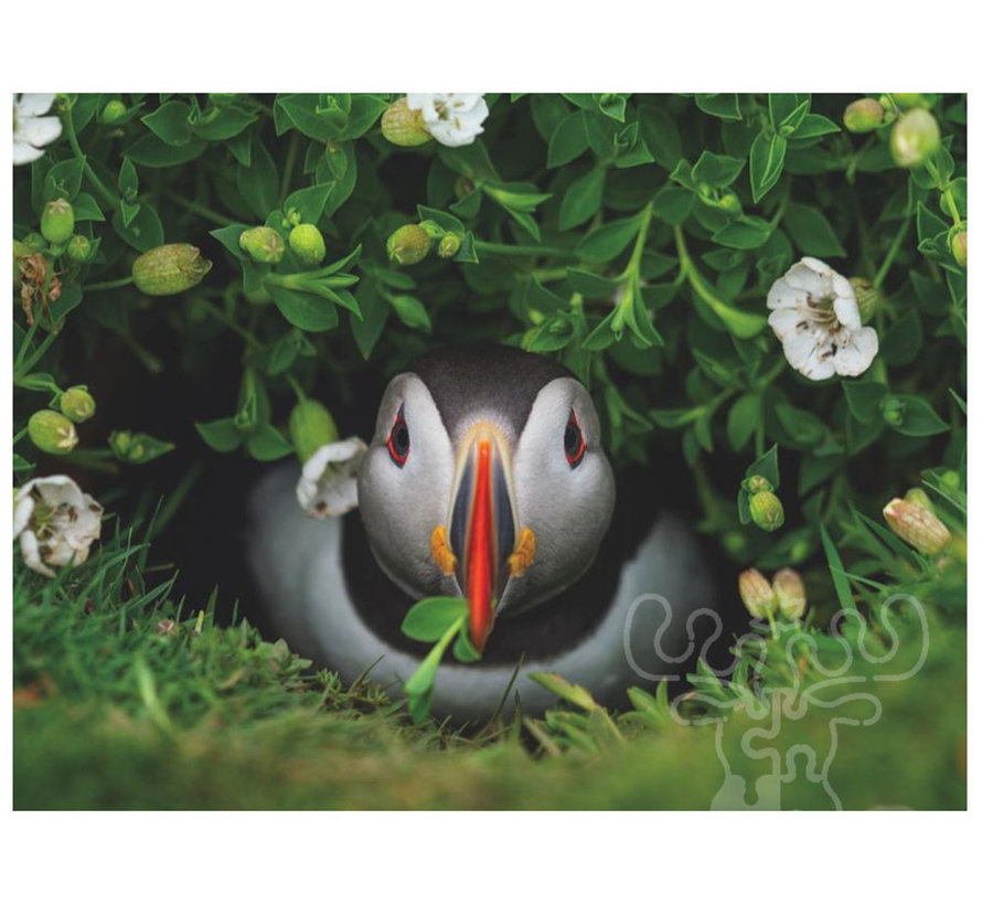 FINAL SALE New York Puzzle Co. National Geographic: Puffin Chick Puzzle 1000pcs