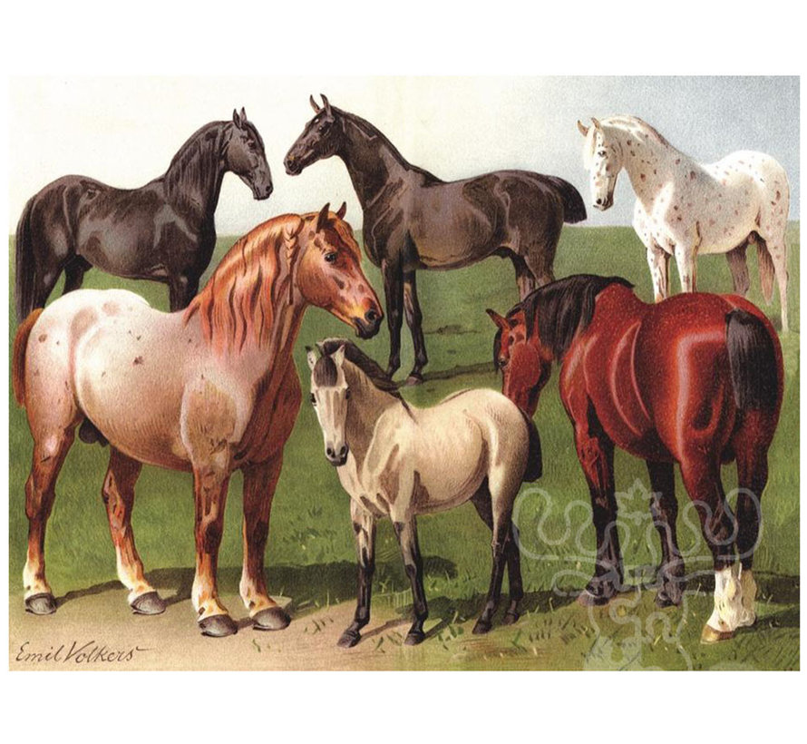FINAL SALE New York Puzzle Co. Vintage Collection: Horse Breeds Puzzle 1000pcs