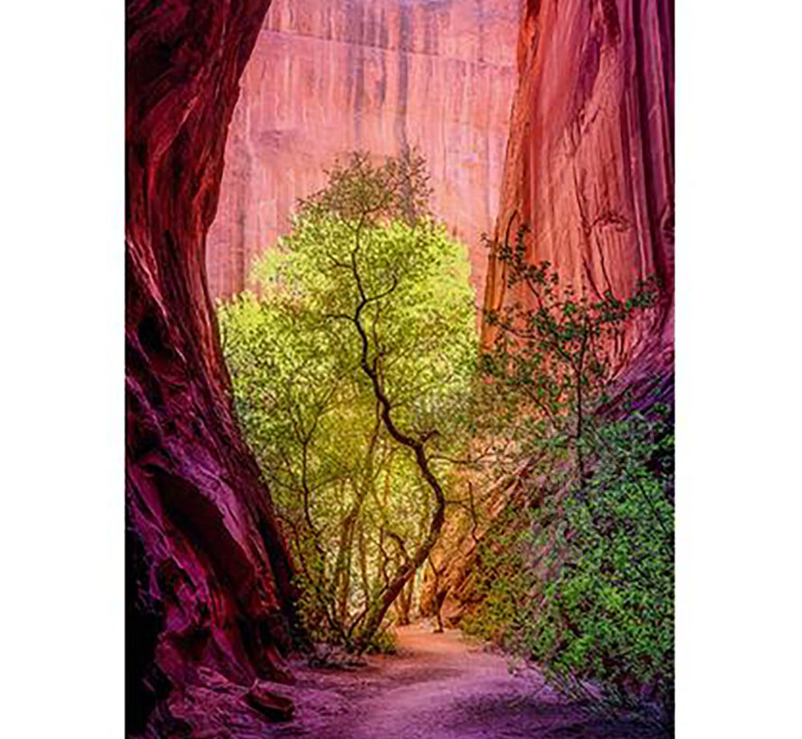 Heye Power of Nature: Singing Canyon Puzzle 1000pcs