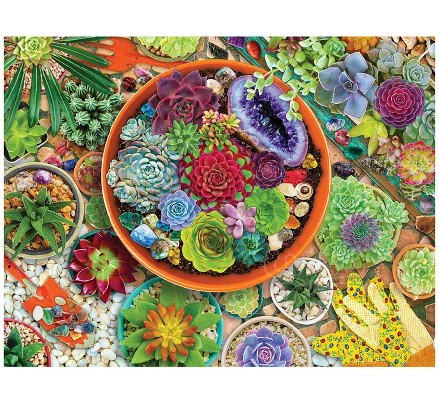 Springbok Succulent Garden Puzzle 500pcs