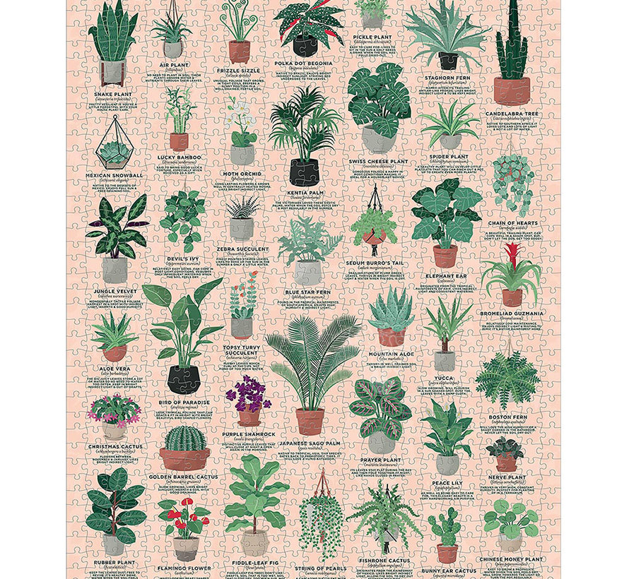Ridley's House Plants Puzzle 1000pcs