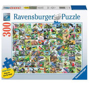 Ravensburger Ravensburger 99 Delightful Birds Large Format Puzzle 300pcs