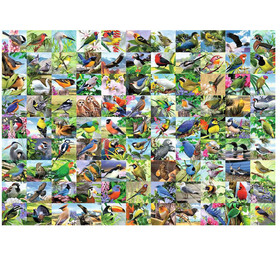 Ravensburger 99 Delightful Birds Large Format Puzzle 300pcs