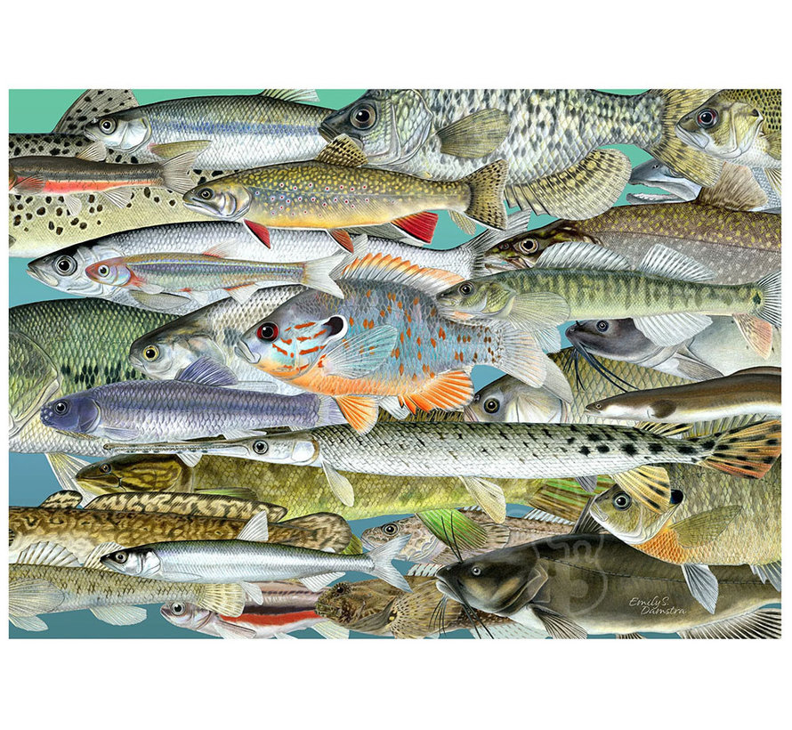 The Occurrence Fishes of the Great Lakes Puzzle 504pcs