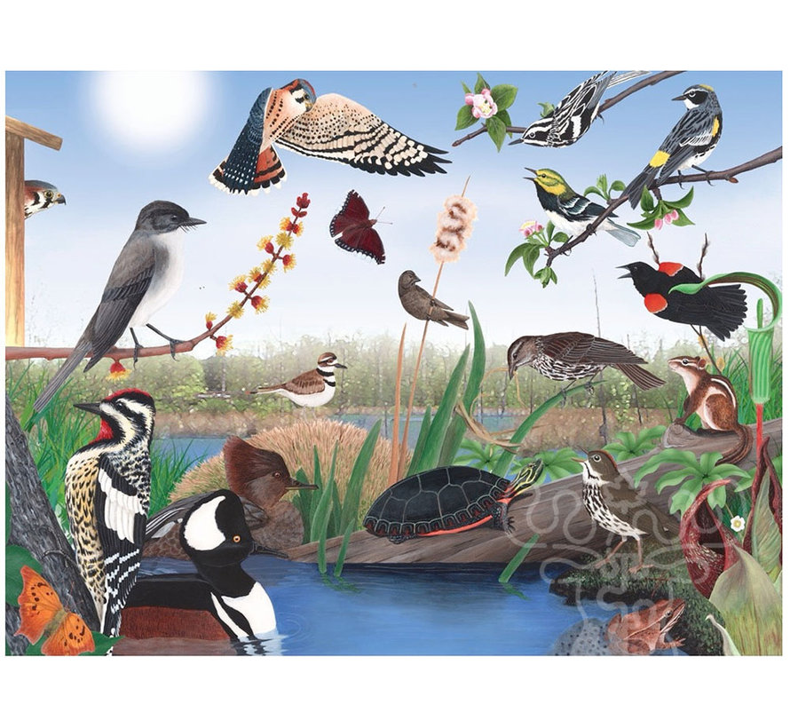 FINAL SALE New York Puzzle Co. Cornell Lab: Spring Trail Puzzle 1000pcs
