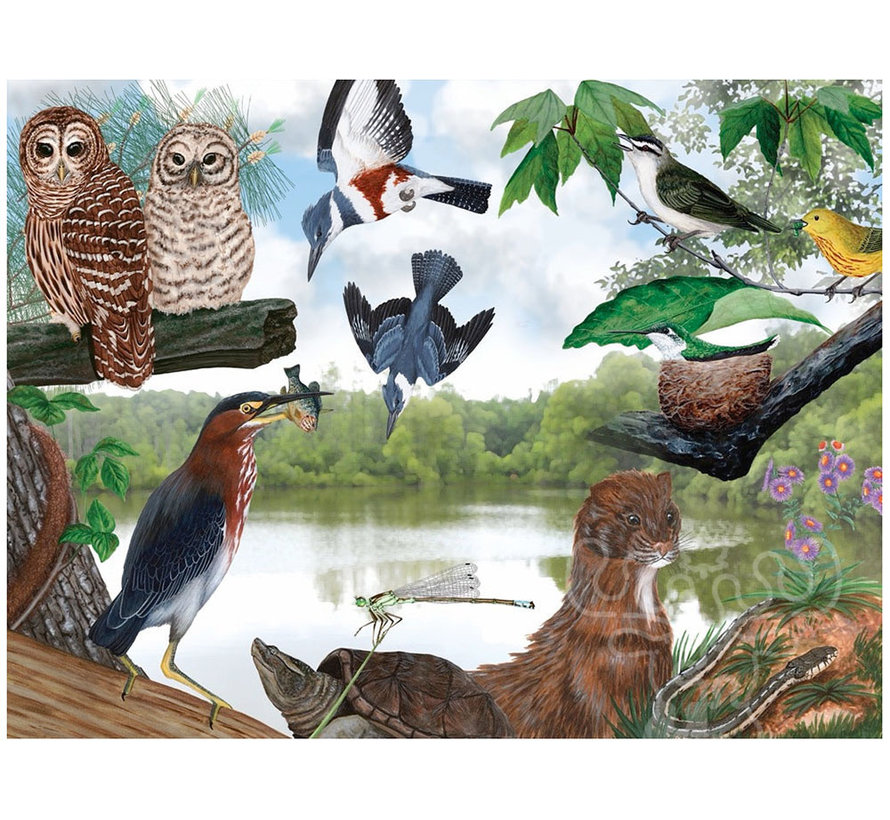 FINAL SALE New York Puzzle Co. Cornell Lab: Summer Trail Puzzle 1000pcs