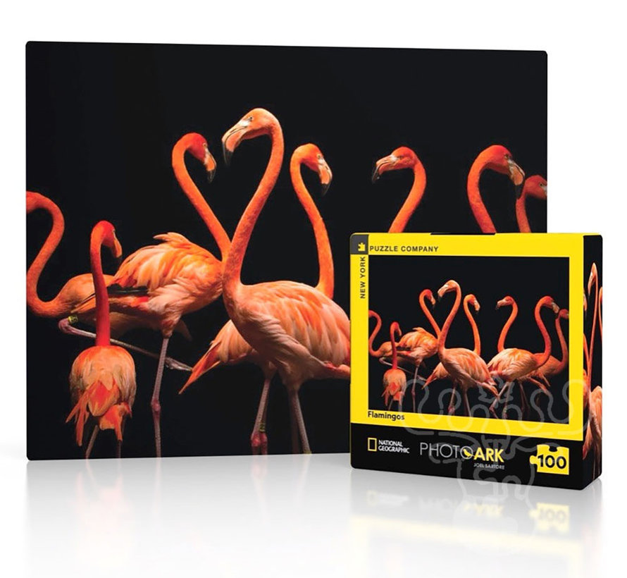 New York Puzzle Co. National Geographic: PhotoArk Flamingos Mini Puzzle 100pcs