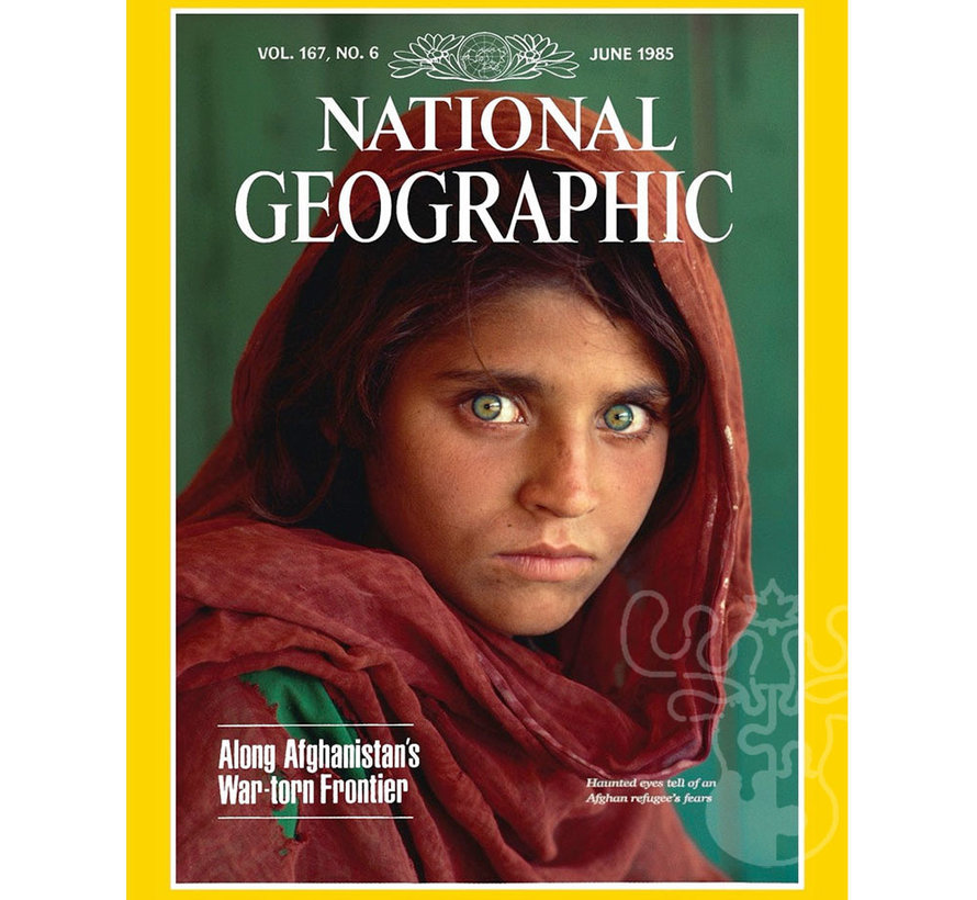 New York Puzzle Co. National Geographic: Haunted Eyes Puzzle 500pcs