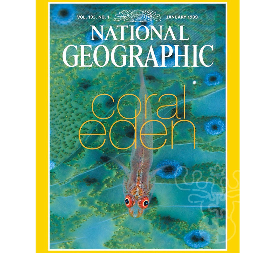 FINAL SALE New York Puzzle Co. National Geographic: Coral Eden Puzzle 500pcs**