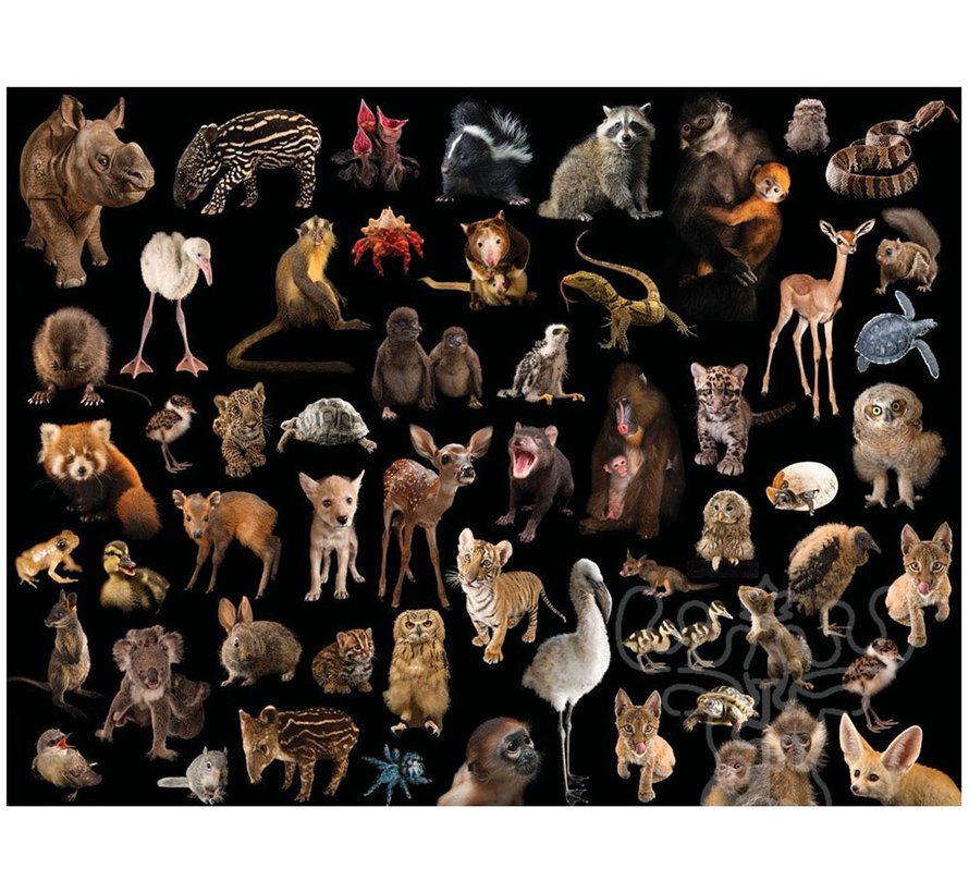 FINAL SALE New York Puzzle Co. National Geographic: Photo Ark Baby Animals Puzzle 500pcs