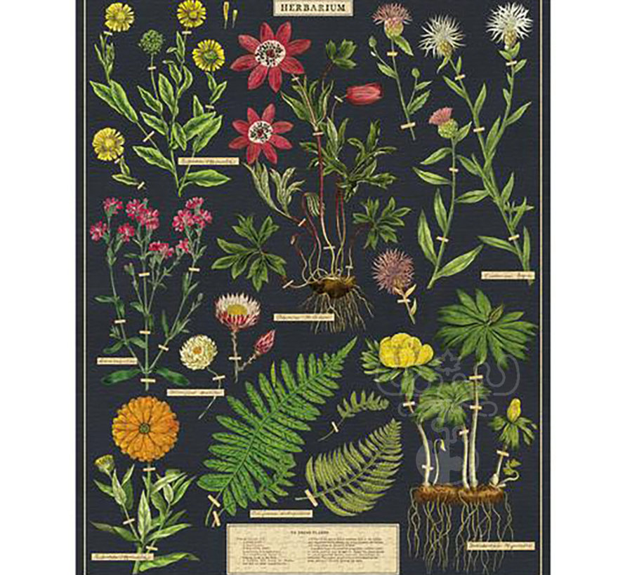 Cavallini Vintage: Herbarium Puzzle 1000pcs