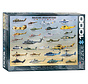Eurographics Transportation: Military Helicopters Puzzle 1000pcs
