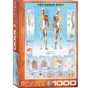 Eurographics Eurographics The Human Body Puzzle 1000pcs