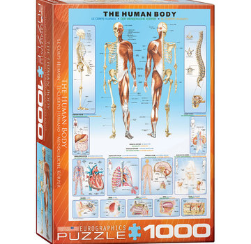 Eurographics Eurographics Education: The Human Body Puzzle 1000pcs