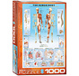 Eurographics Education: The Human Body Puzzle 1000pcs