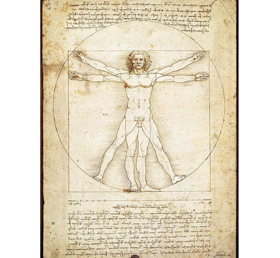 Eurographics Fine Art da Vinci: The Vitruvian Man Puzzle 1000pcs