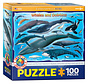 Eurographics Whales and Dolphins Puzzle 100pcs