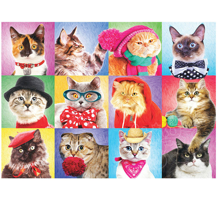 Eurographics Silly Cats XL Family Puzzle 300pcs