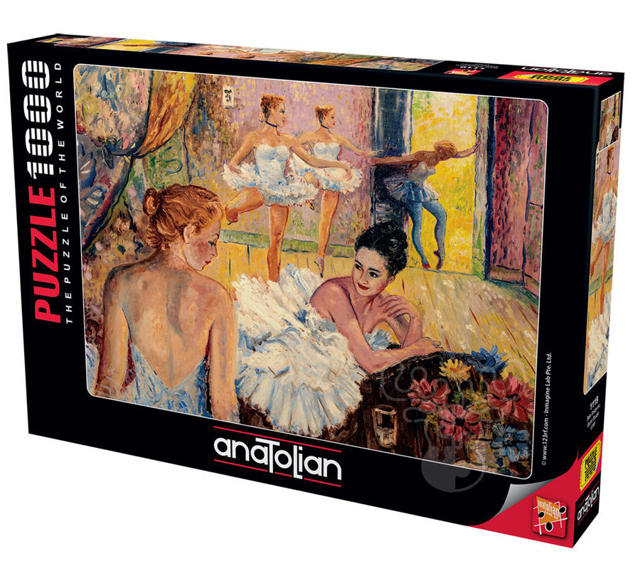 Anatolian Ballet Studio Puzzle 1000pcs