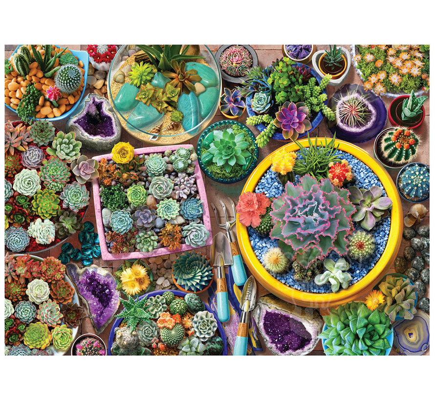 Anatolian Cacti Pots Puzzle 1000pcs